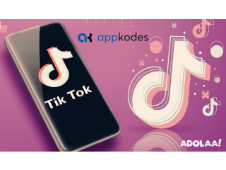 A Comprehensive Guide to Building Your Video-Sharing Empire with TikTok Clone Script