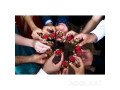 bay-area-event-photographers-small-0