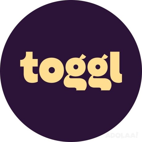 toggl-inc-big-0