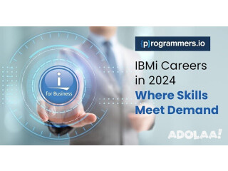 IBMi Careers in 2024 Where Skills Meet Demand