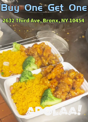 best-chinese-takeout-in-south-bronx-big-0