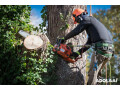 expert-residential-tree-removal-service-in-floyd-wc-timber-small-0