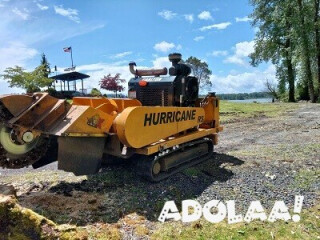 Professional Stump Removal at Competitive Rates