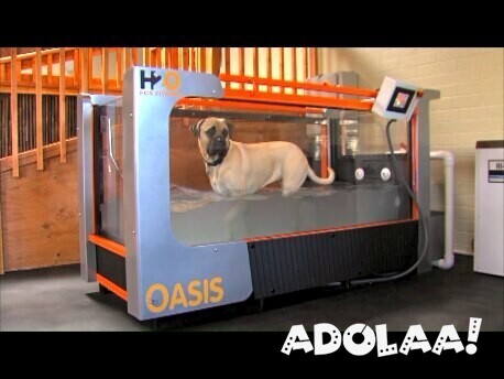 h2o-for-fitness-underwater-treadmills-for-humans-and-canines-big-0