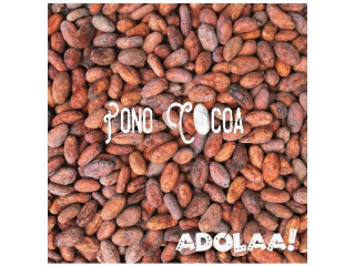 Pono Cocoa