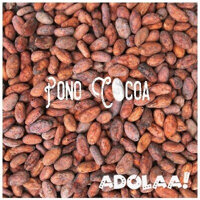 pono-cocoa-big-0