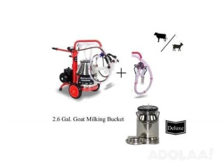 Best Milking machine for Nigerian dwarf goats online