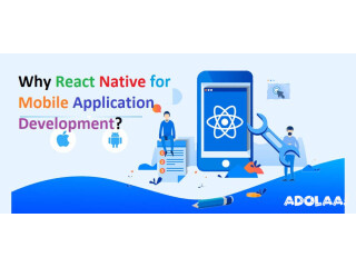 Why React Native for Mobile Application Development?