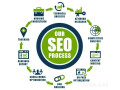 increase-online-visibility-with-local-seo-services-in-port-jefferson-small-0