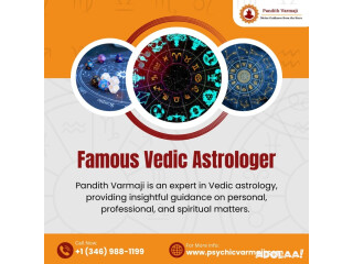 Famous Vedic Astrologer in Houston