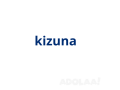 kizuna-simplifying-in-home-care-for-your-loved-ones-small-0