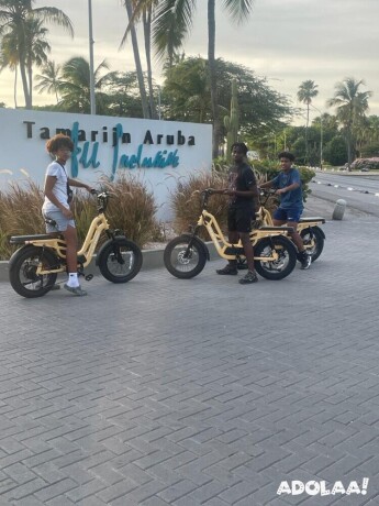 discover-the-best-electric-bike-rental-in-aruba-today-big-0