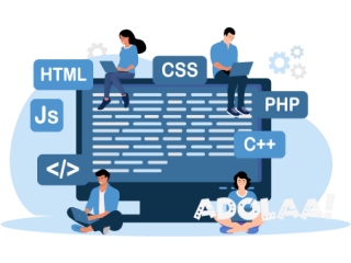 Web Development Company in USA