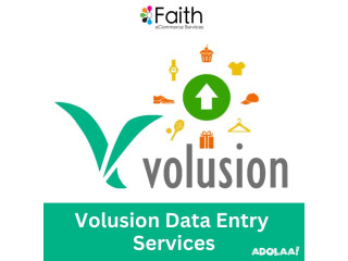 Volusion Data Entry Services | Accurate & Efficient Store Management