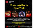 fortuneteller-in-new-york-best-astrologer-rishi-small-0