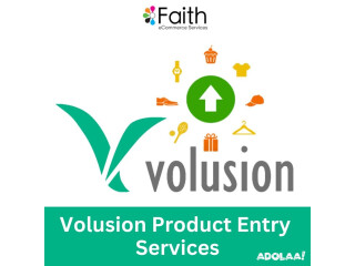 Volusion Product Entry Services | Streamline Your E-commerce Store