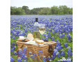 fredericksburg-texas-wineries-small-0