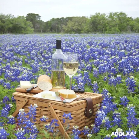 fredericksburg-texas-wineries-big-0