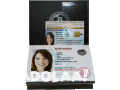 international-driving-document-small-0