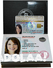 international-driving-document-big-0