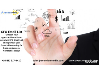 Get accurate CFO Email List Providers in USA-UK