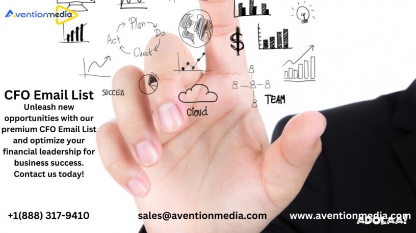 get-accurate-cfo-email-list-providers-in-usa-uk-big-0