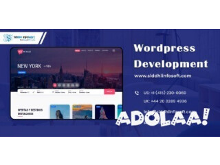 WordPress Development Company