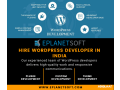 hire-wordpress-developer-india-small-0