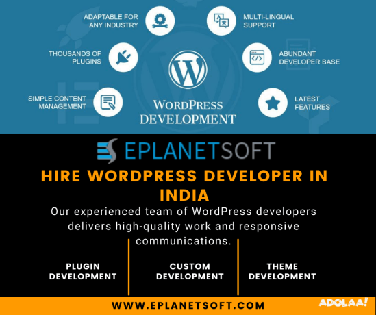 hire-wordpress-developer-india-big-0