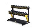 dumbbell-set-for-home-gym-small-0