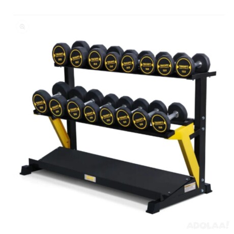 dumbbell-set-for-home-gym-big-0