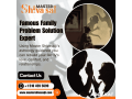 famous-family-problem-solution-astrolger-in-california-small-0