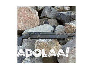 AllTerra Arms Rifle