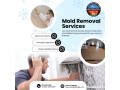 mold-removal-companies-durham-uwrg-of-the-triangle-small-0