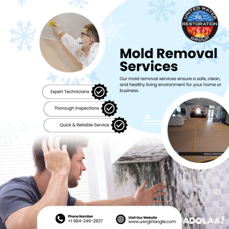 mold-removal-companies-durham-uwrg-of-the-triangle-big-0