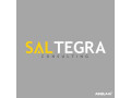 saltegra-consulting-small-1