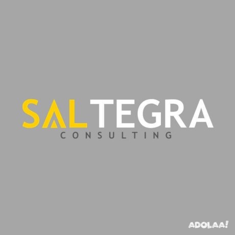 saltegra-consulting-big-1