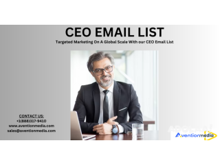 Best CEO Email List Providers In USA-UK