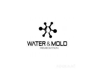 Water and Mold Remediation