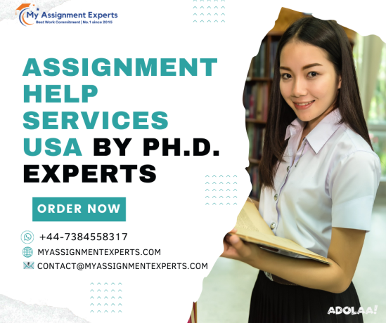 assignment-writing-services-in-the-usa-big-0