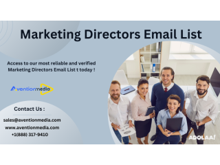 Get accurate Marketing Directors Email List Providers in USA-UK