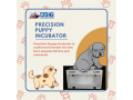 get-the-best-incubator-for-newborn-puppies-small-0