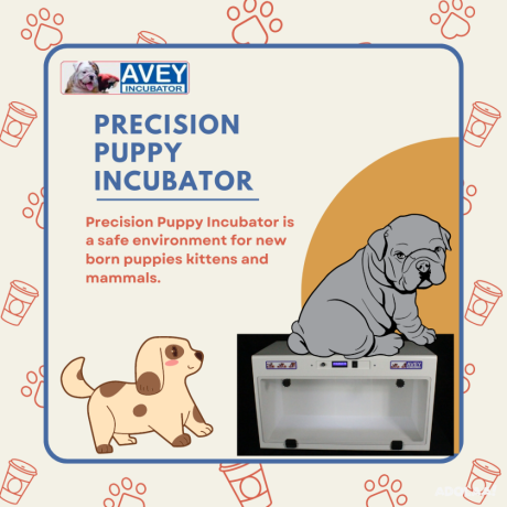 get-the-best-incubator-for-newborn-puppies-big-0