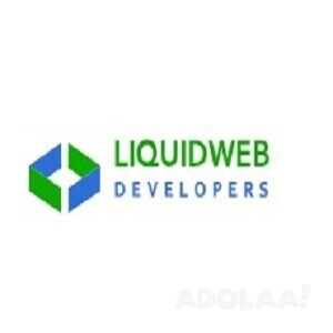 liquid-web-developer-your-trusted-shopify-development-partner-big-0