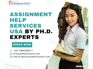 Top Professional Assignment Help in USA
