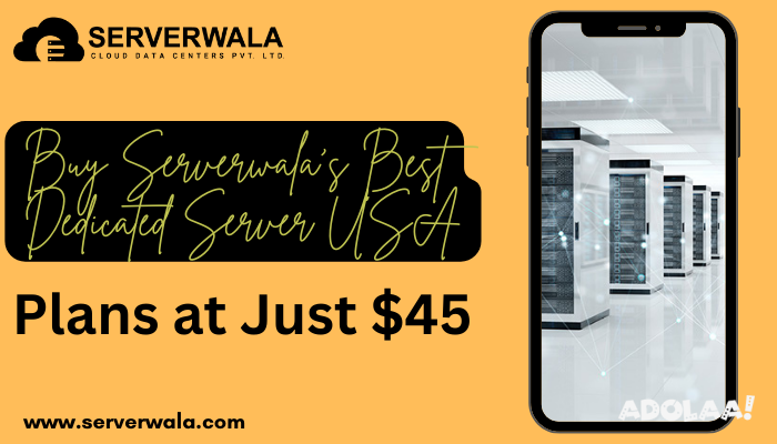 buy-serverwalas-best-dedicated-server-usa-plans-at-just-45-big-0