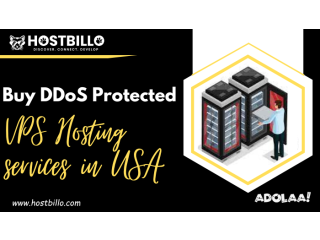 Buy DDoS Protected VPS Hosting services in USA