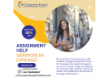 assignment-help-services-in-chicago-small-0