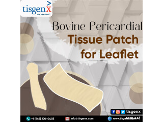 Bovine Pericardial Tissue Patch for Leaflet