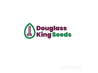 Browsing The Best Food Seeds Store